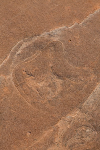 27.7. Dinosaur Tracks im Coral Pink Sand Dunes SP