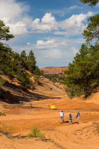 27.7. Dinosaur Tracks im Coral Pink Sand Dunes SP