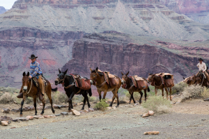 29.7. South Kaibab Trail