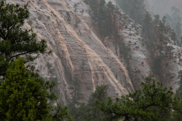 1.-3.8. Zion - Checkerboard Mesa im Regen