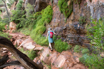 1.8. Zion - Canyon Overlook Trail