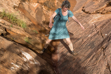 1.8. Zion - Canyon Overlook Trail