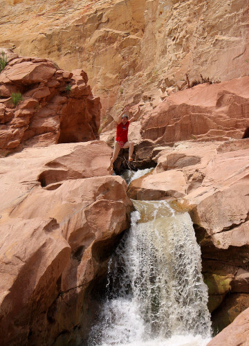 Wasserfall und Badestelle im Escalante River, Capitol Reef NP