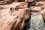 Wasserfall und Badestelle im Escalante River, Capitol Reef NP