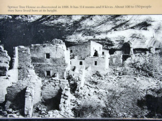 Mesa Verde: Spruce Tree House, 1888 1888