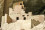 Mesa Verde: Cliff Palace