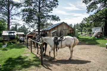 17.7. Reitausflug - Rimrock Outfitters, Mancos