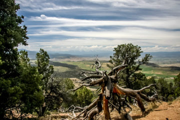 19./20.7. Black Canyon of the Gunnison