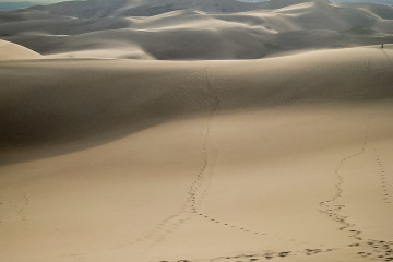 22.-24.7. Great Sand Dunes - High Dune Besteigung