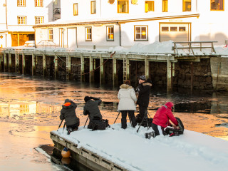 11.2. Henningsvaer - Sonnenuntergang im Hafen