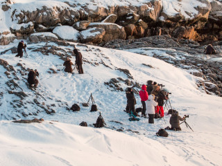 11.2. Henningsvaer - die Workshop-Truppe at work ;-)