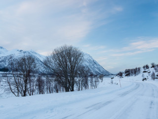 16.2. Morfjord