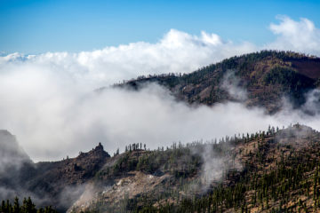 9.11. Über den Wolken, Corona Forestal