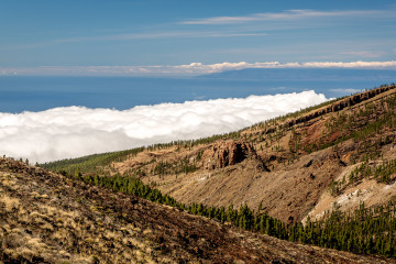 14.11. Timelapse Corona Forestal, Teide