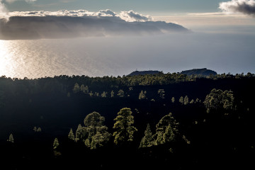 14.11. Corona Forestal, Teide