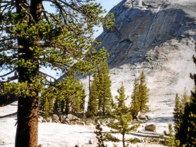 An der Tioga Road