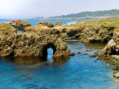 Mendocino Headlands.