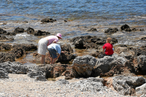 Milatos - Muscheln, Steine, Krebse