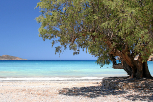 Die Bucht von Tholos.