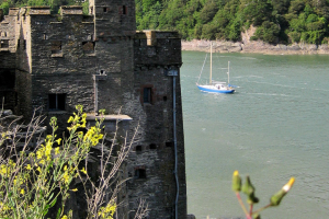 Dartmouth Castle