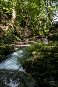 8.8. - Lydford Gorge