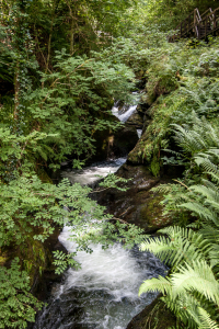 8.8. - Lydford Gorge