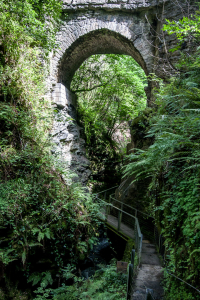 8.8. - Lydford Gorge