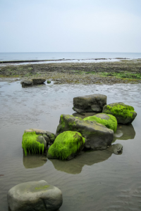 29.7.: Fossil Hunting