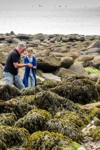 29.7.: Fossil Hunting