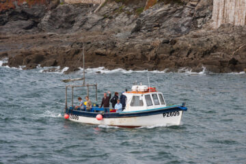 4.8.: Fishing Trip