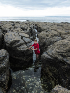 5.8.: Rock Pooling