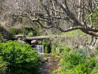 6.4.: Hiking at Lamorna Cove