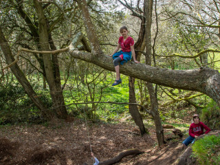 6.4.: Hiking at Lamorna Cove