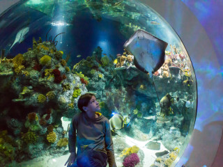 8.4.: Bristol Aquarium