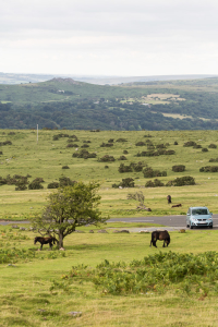 10.8. Dartmoor