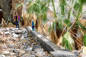 Ausflug zum Palm Canyon