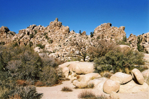 Joshua Tree NP: Wanderung im Hidden Valley.