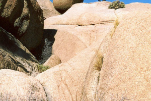 Joshua Tree NP: Jumbo Rock Campground.