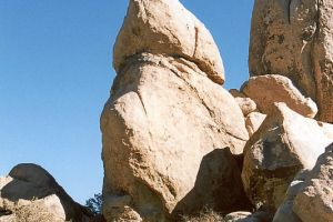 Joshua Tree NP: Jumbo Rock Campground.