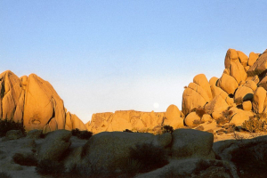 Joshua Tree NP: Jumbo Rock Campground.