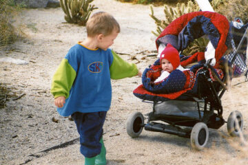 Dez. 2002 - Anza Borrego State Park