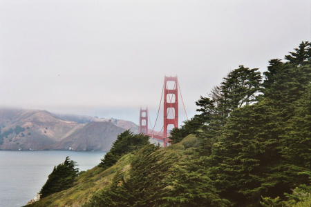 Golden Gate Bridge vom Presidio aus