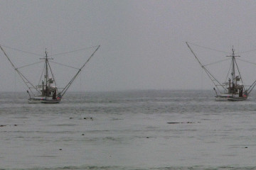 Zwei (!? ;-) Fisch-Trawler bei Mendocino.