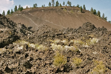 Lava Buttes, bei Bend, Oregon