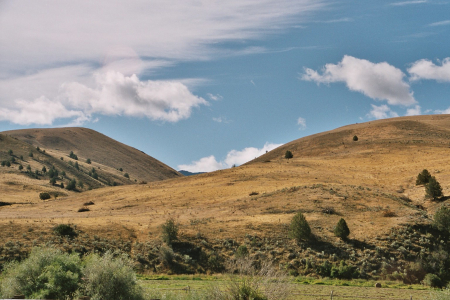 Picture Gorge, John Day Fossil Beds