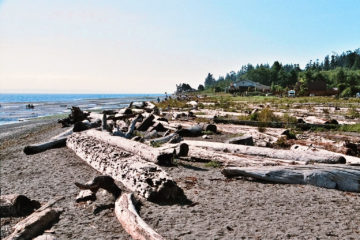 Fay Bainbridge State Park