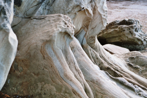 Larrabee State Park