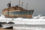 Das Wrack der American Star