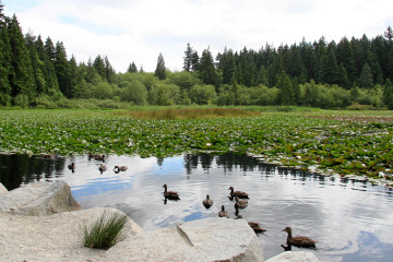 Vancouver - Stanley Park