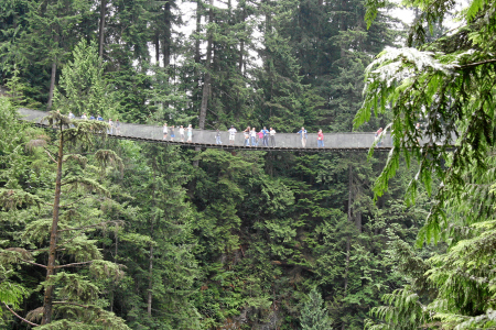 Vancouver: Capilano Bridge